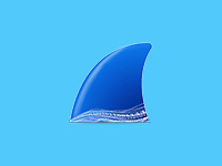 网络抓包工具 | Wireshark v4.4.7 便携版-瑞泽小站