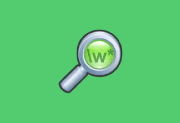 文件搜索工具 | dnGrep v4.5.55.0 中文绿色版-瑞泽小站