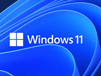 Windows 11 23H2 Build 22631.6491 RTM 集成更新镜像 (2026年1月)-瑞泽小站