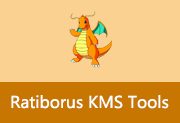 神龙激活工具 | Ratiborus KMS Tools v2026.02.11 绿色版-瑞泽小站