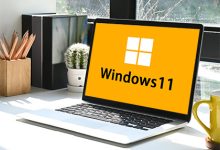 【不忘初心】Windows11 23H2（22631.4169）X64 无更新 纯净[深度精简版][1.45G](2026.3.28）-瑞泽小站