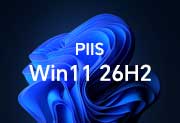 IT工坊PIIS系统 | WIN11.26H2.26300.9550轻简优化 内置账户+自建账户版[2026.9.24]-瑞泽小站