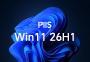 IT工坊PIIS系统 | WIN11.26H1.28000.3086.PIIS轻简优化 内置账户+自建账户版 [2026.9.25]-瑞泽小站